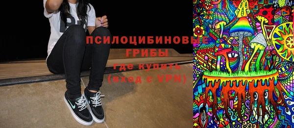 твердый Дмитриев