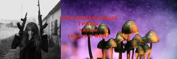 твердый Дмитриев