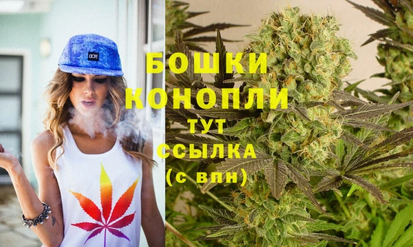 дживик Дмитровск