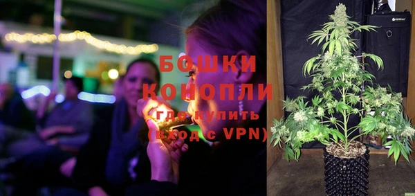 твердый Дмитриев
