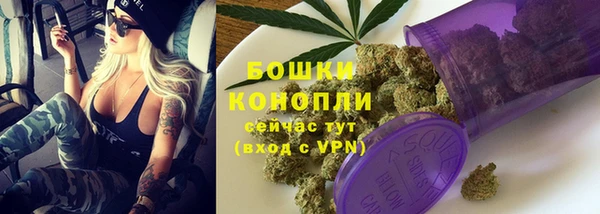 мет Дмитров